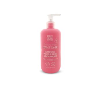 Plumpy Curls Silicone Free Conditioner